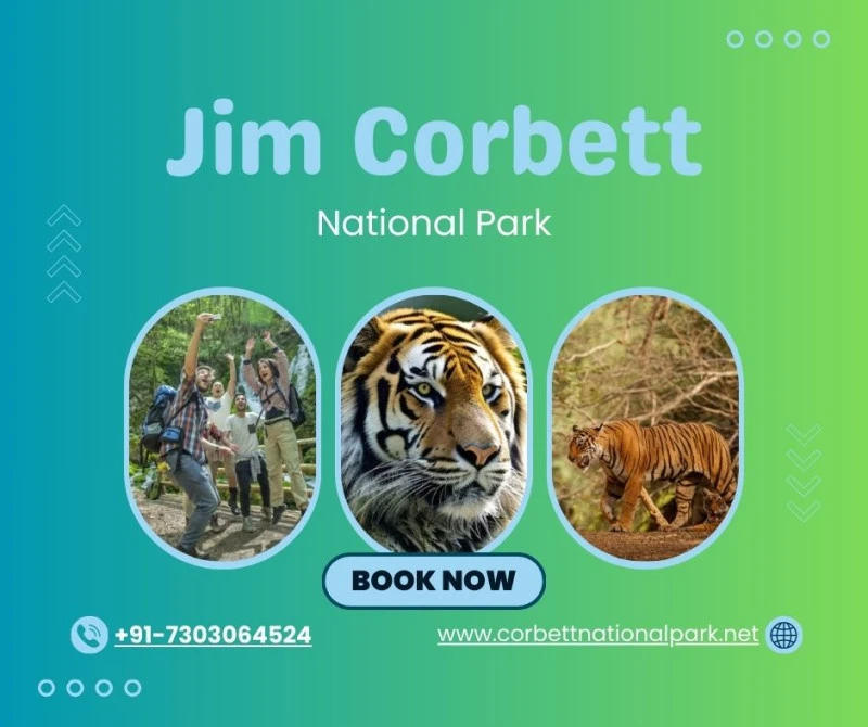 Jim Corbett National Park Resorts Comfortable Luxury in the Lap of Nature
