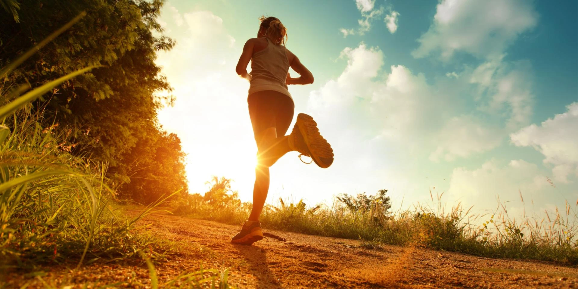 Chiropractor Hawthorn East: Expert Musculoskeletal Care for Your Health and Wellbeing