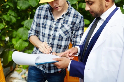 Why Hire a Residential Land Surveyor Before Installing Pools or Patios?