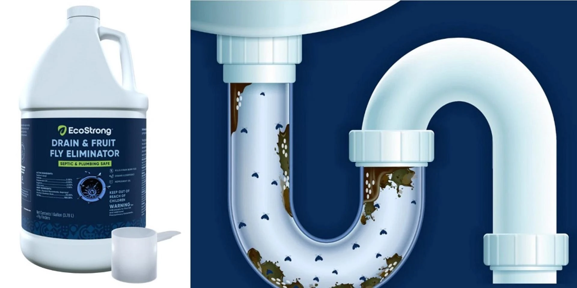 Why Drain Flies Love Your Pipes and How to Evict Them