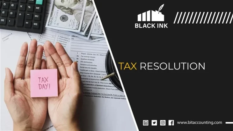 Black Ink Taxation and Accounting Services: Supporting Businesses with Professional Financial Management