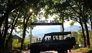 Discovering Jim Corbett: Where Wilderness and Wonder Intertwine