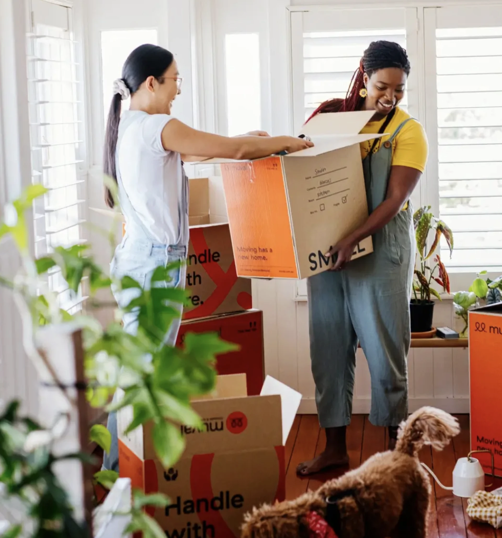 Commercial Movers Adelaide: Your Trusted Partner for Seamless Business Relocations | My City Movers