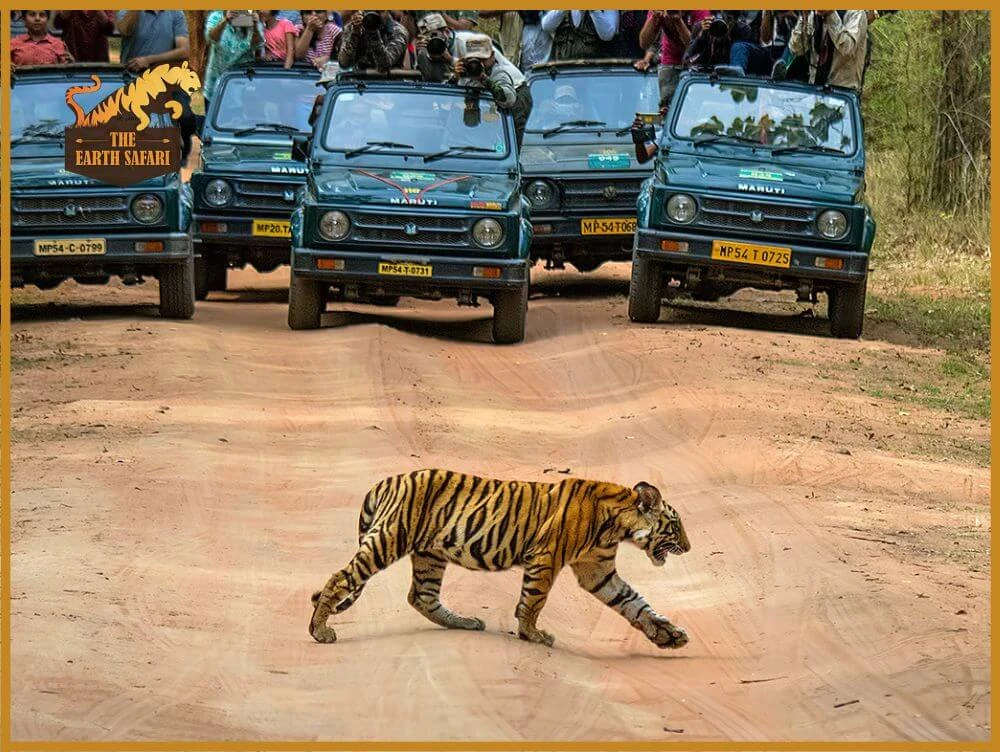 Family-Friendly Resorts in Ranthambore National Park You’ll Love