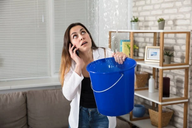 Restoring Homes and Businesses After Water Damage