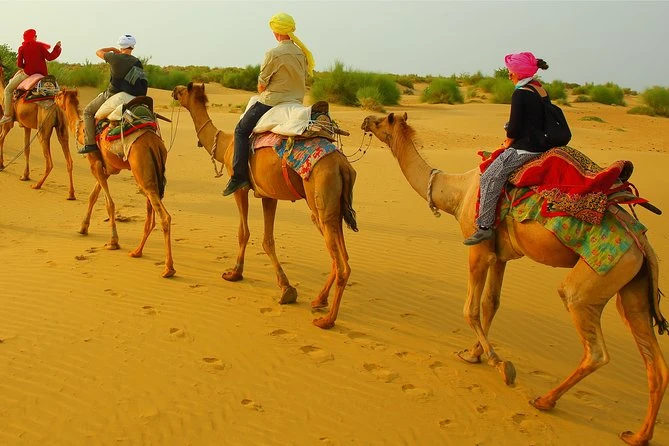 Jaisalmer Sand Dunes: Jeep and Camel Safari Review