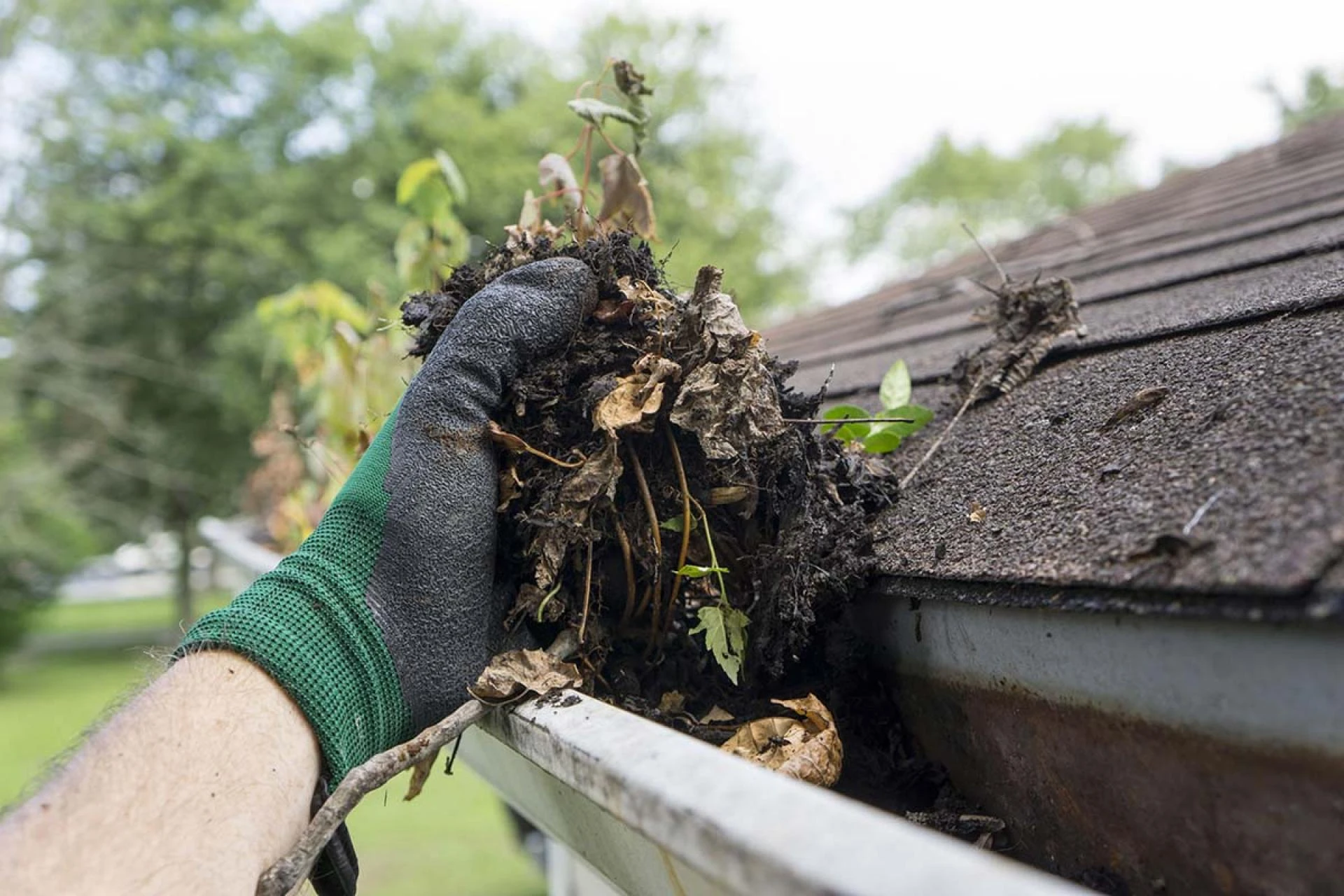 Is It Worth Getting Gutters Cleaned?