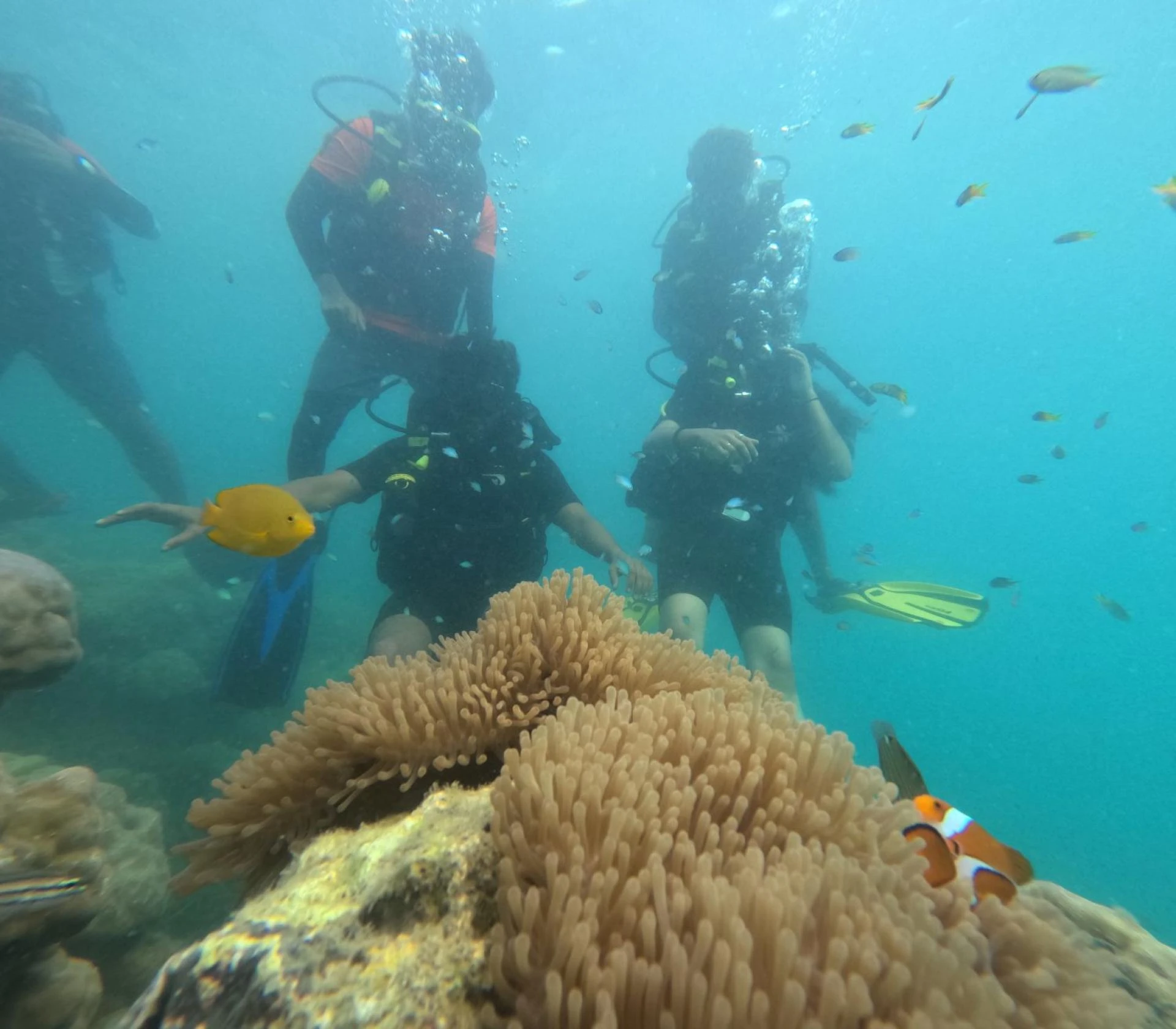 The Emerald Covenant: A Humanist Odyssey of Scuba Diving in Andaman