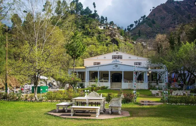Exploring Swat Valley with Raheem Tours And Transport – The Ultimate Travel Experience