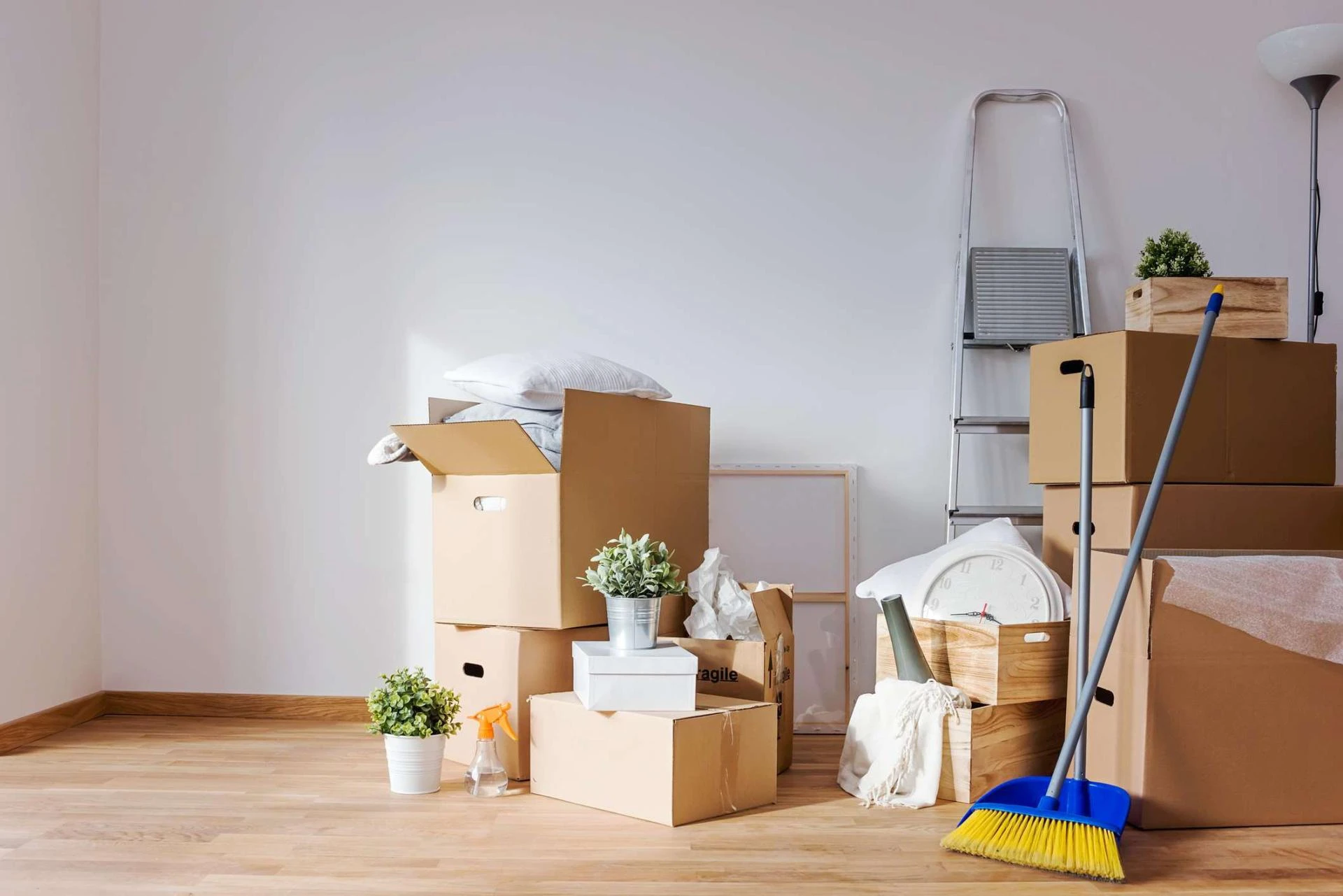 Stress-Free Moving: Why Move Out Cleaning Services Are Essential | Tidy Homes