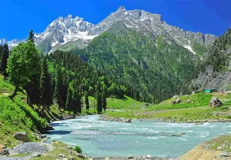 Hill Stations in India: A Complete Guide to Nature’s Retreats