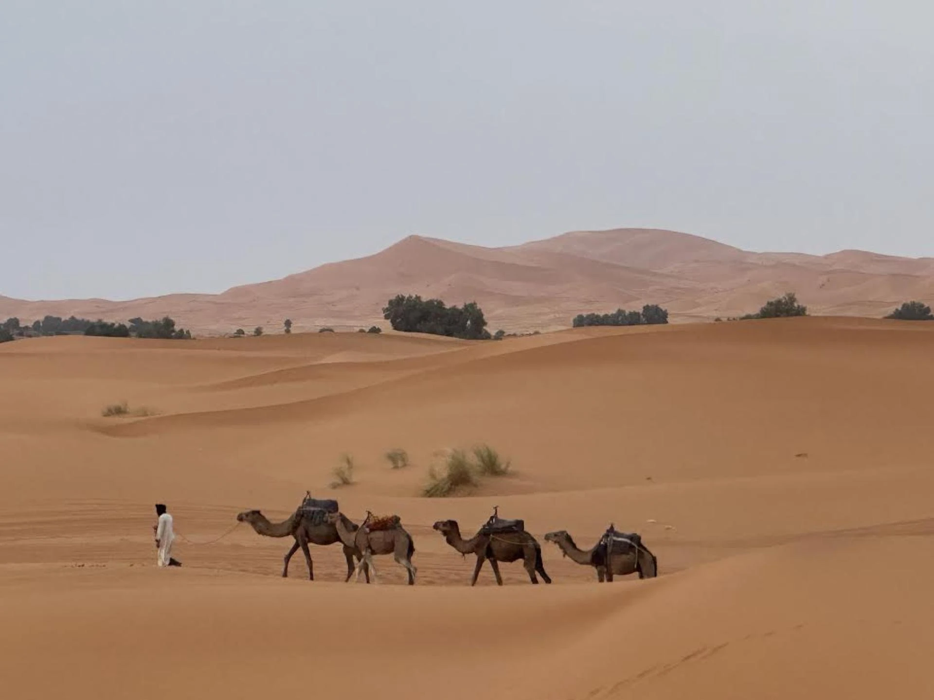 5 Must-Know Tips Before Embarking on Your Morocco Luxury Tour