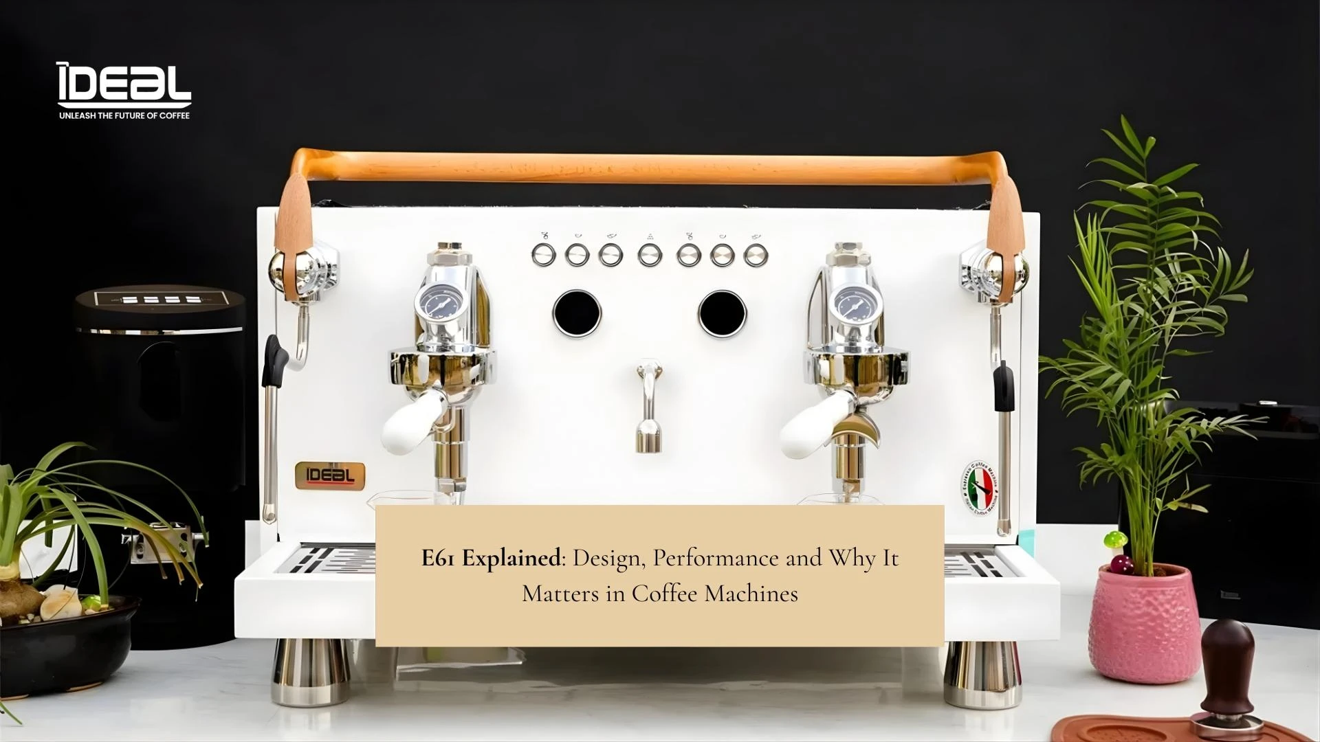 E61 Explained: Design, Performance and Why It Matters in Coffee Machines