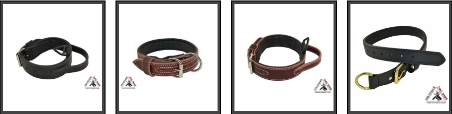 Complete Guide to Dog Collars Australia: Choosing the Best Dog Accessories from a Trusted Dog Shop
