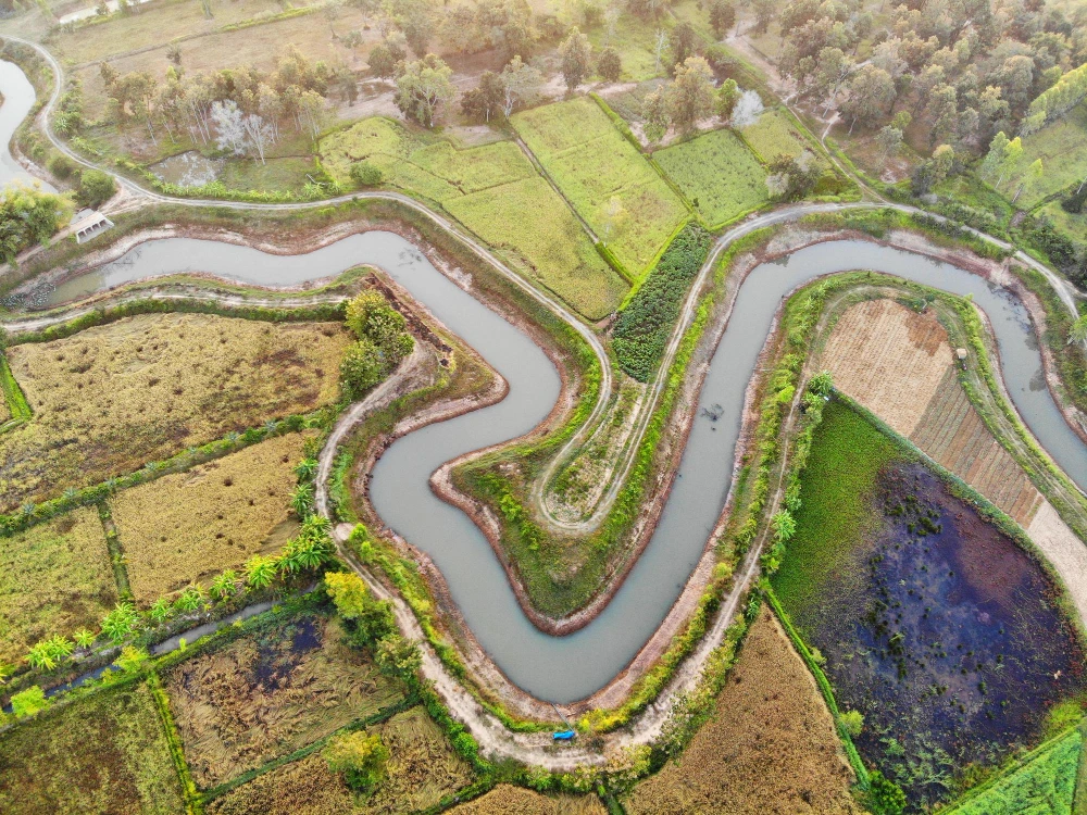 How a Drone Data Marketplace is Transforming Precision Irrigation