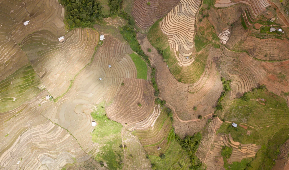  Why Soil Variability Mapping is Key to Precision Irrigation