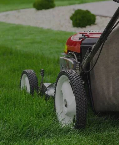 How Professional Lawn Care Services Save Time and Protect Your Lawn