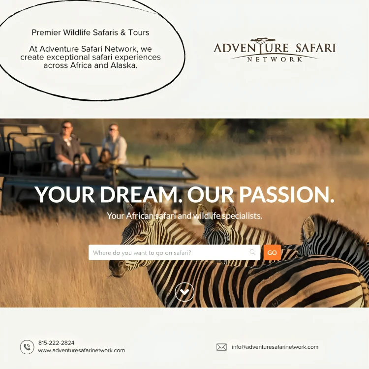 South Africa Safaris: A Guide to the Best Parks, Scenic Routes and Big Five Encounters