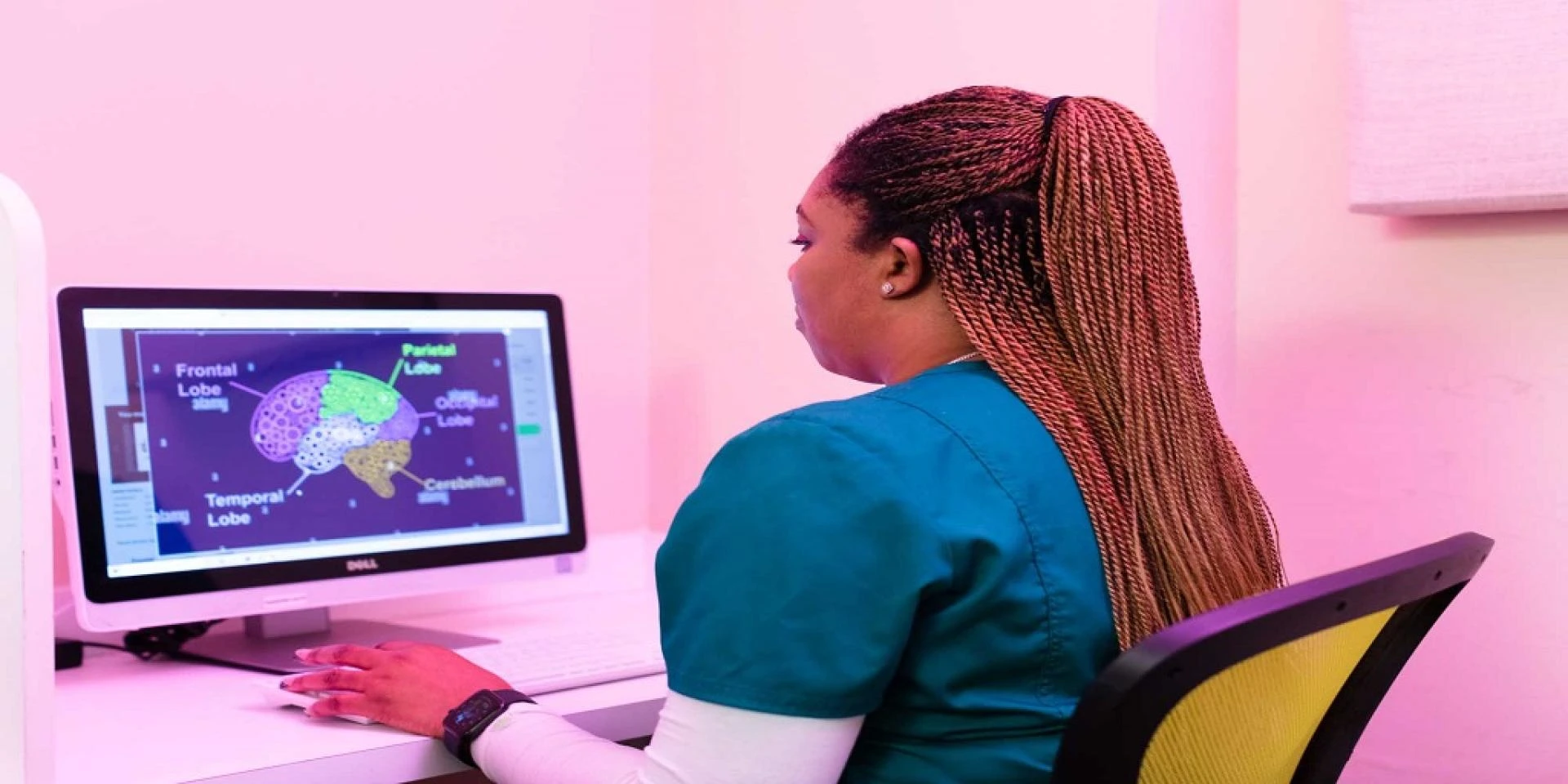 Choosing The Right Program For LPN Certification Florida