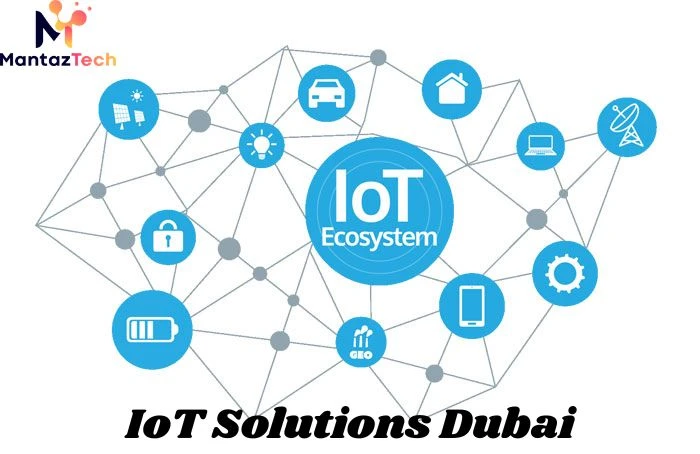 Which Company Offers Affordable IoT Solutions Dubai Today?