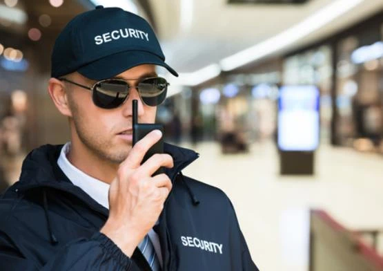 Strategic Resilience: Why Businesses Need Professional Security Services in Dubai