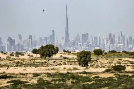 Why International Investors are Choosing Dubai Real Estate in 2026