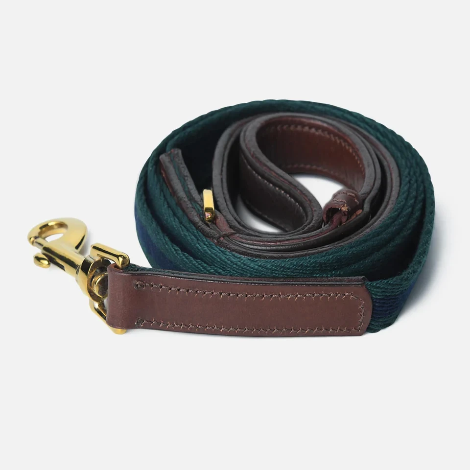 Leather Leashes: Are They the Best Choice for Your Dog?