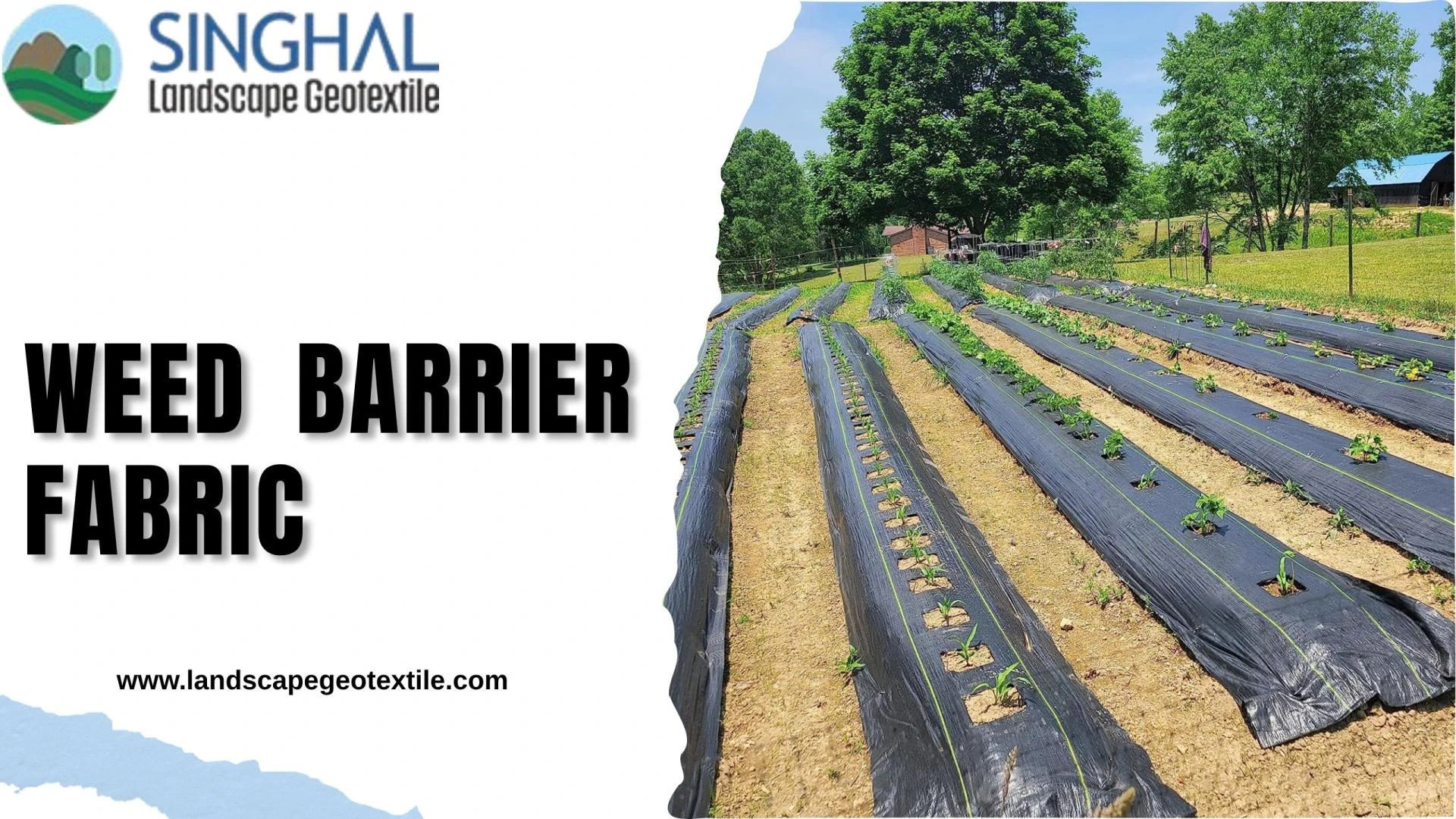 Weed Barrier Fabric for Long Lasting Ground Coverage