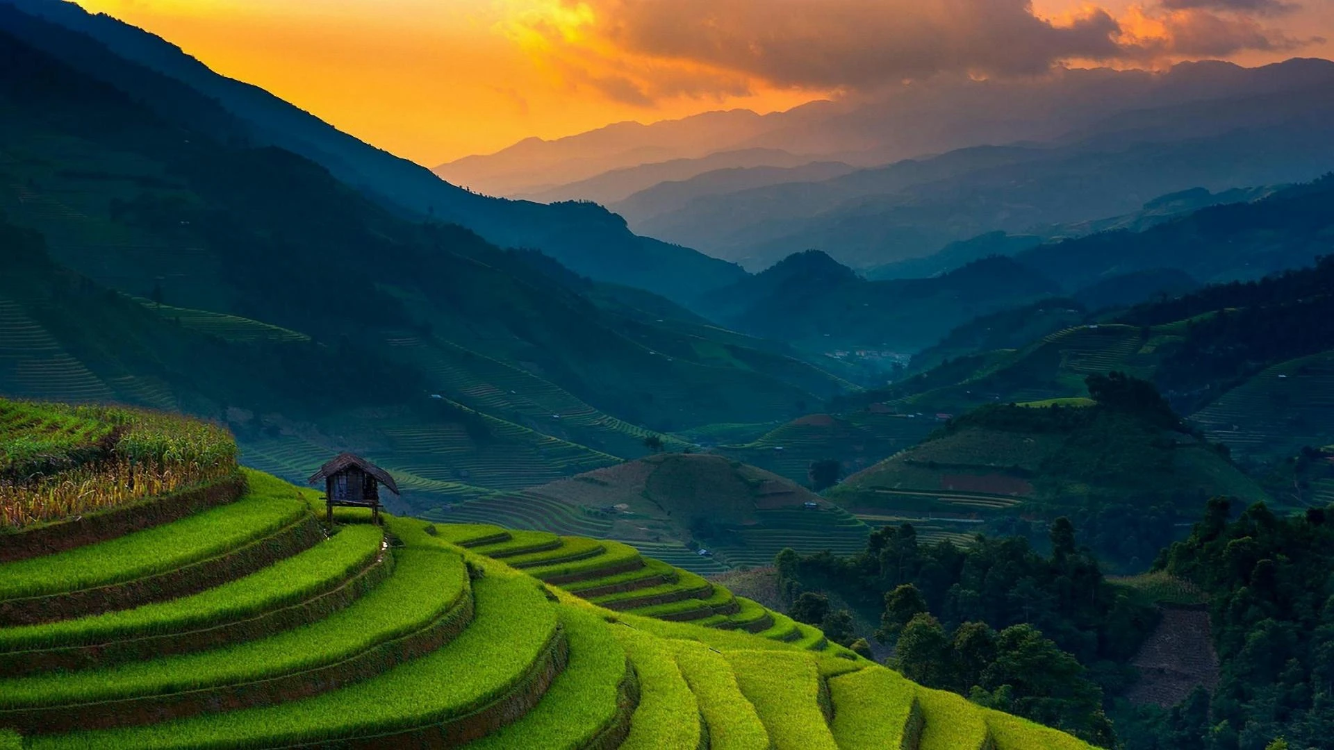 Vietnam Honeymoon Packages: The Complete Guide for Couples in 2025
