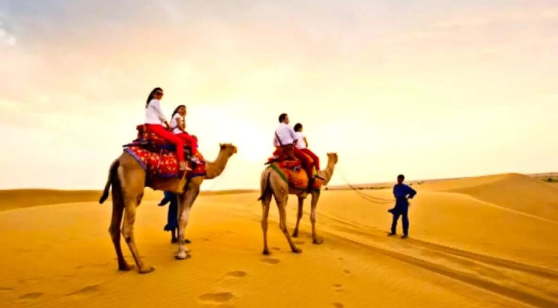 How to Plan an Overnight Camel Safari in Jaisalmer