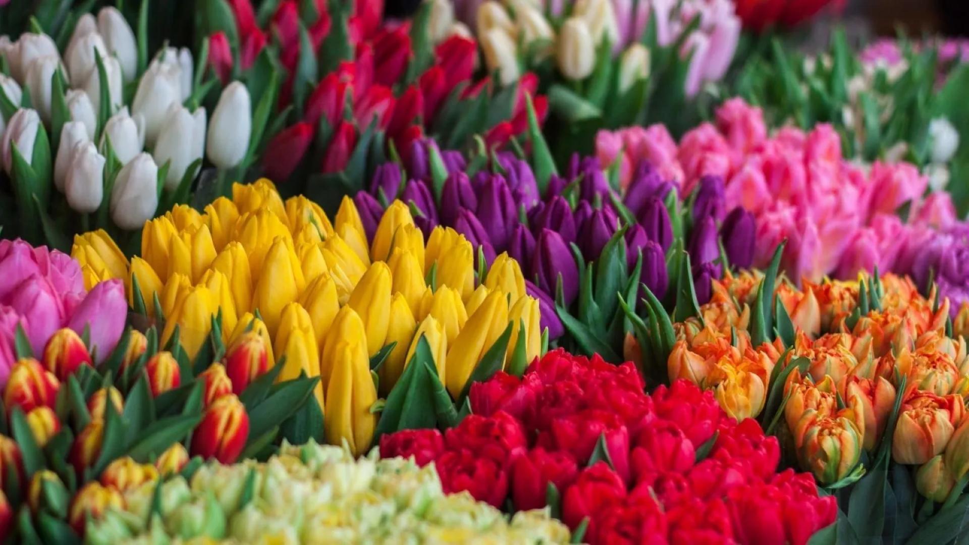 Luxury Flowers in Dubai That Don’t Feel Like a Letdown