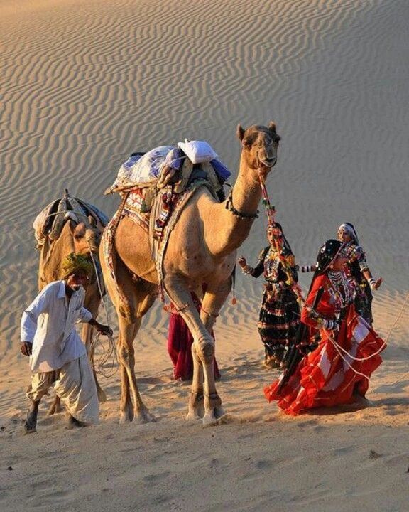 Camel Safari in Jodhpur and Jaisalmer Complete Travel Guide