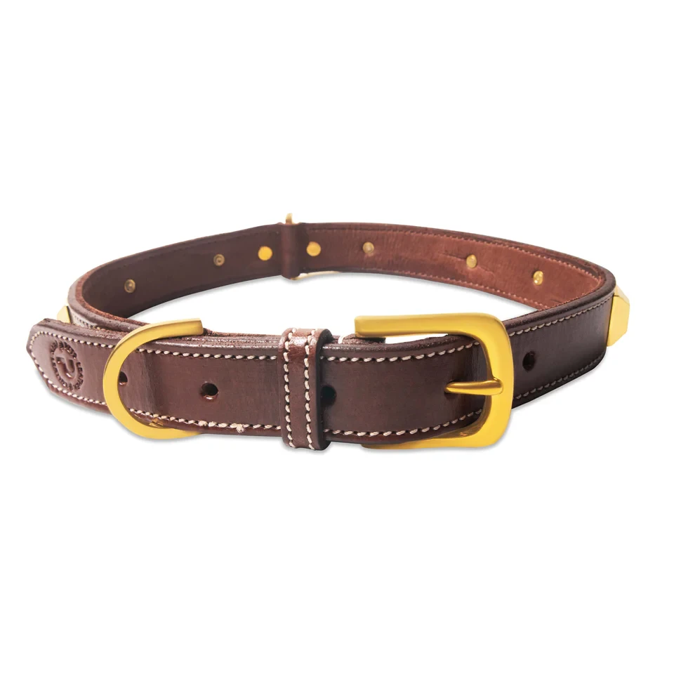Why Luxury Leather Collars for Dogs Are More Than Just a Style Statement