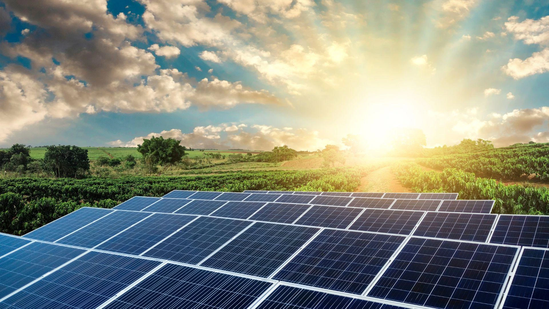 How Renewable Energy Sources Are Shaping the Energy Transition