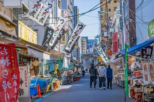 A Day in the Life of a Private Tour Around Tokyo