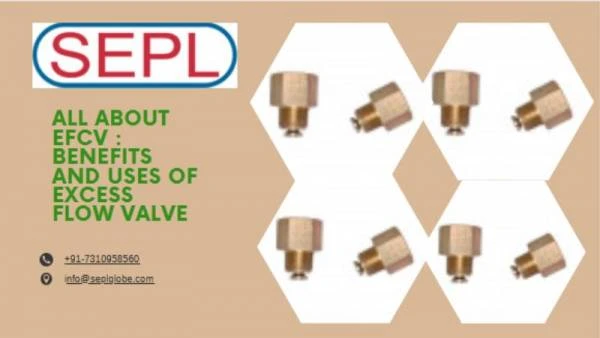 Excess Flow Check Valves: Function, Working & LPG Safety Importance