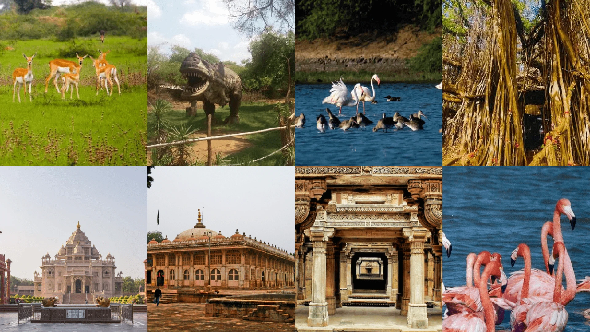 Beyond the Sabarmati: 3 Essential Ahmedabad Experiences