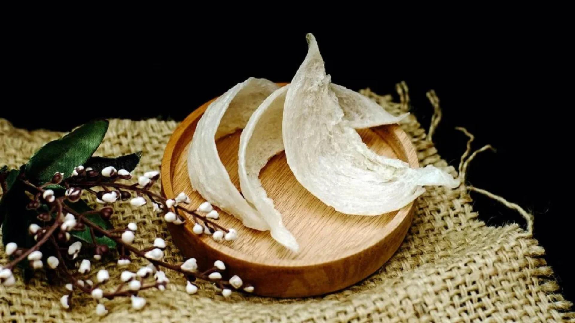 Discover the Value of Swallow Bird Nest for Sale in Modern Wellness