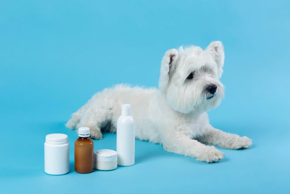 Pet Medicine Wholesale Distributors: How They Help Reduce Costs for Pet Clinics
