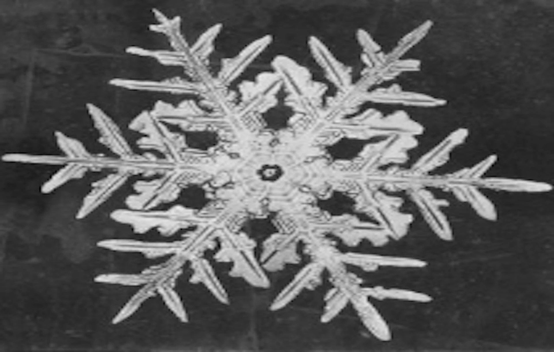The Influence of Fractals on Art and Design Today