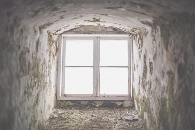 Attic Mold Removal: A Complete Guide to Eliminating Mold and Preventing Future Growth