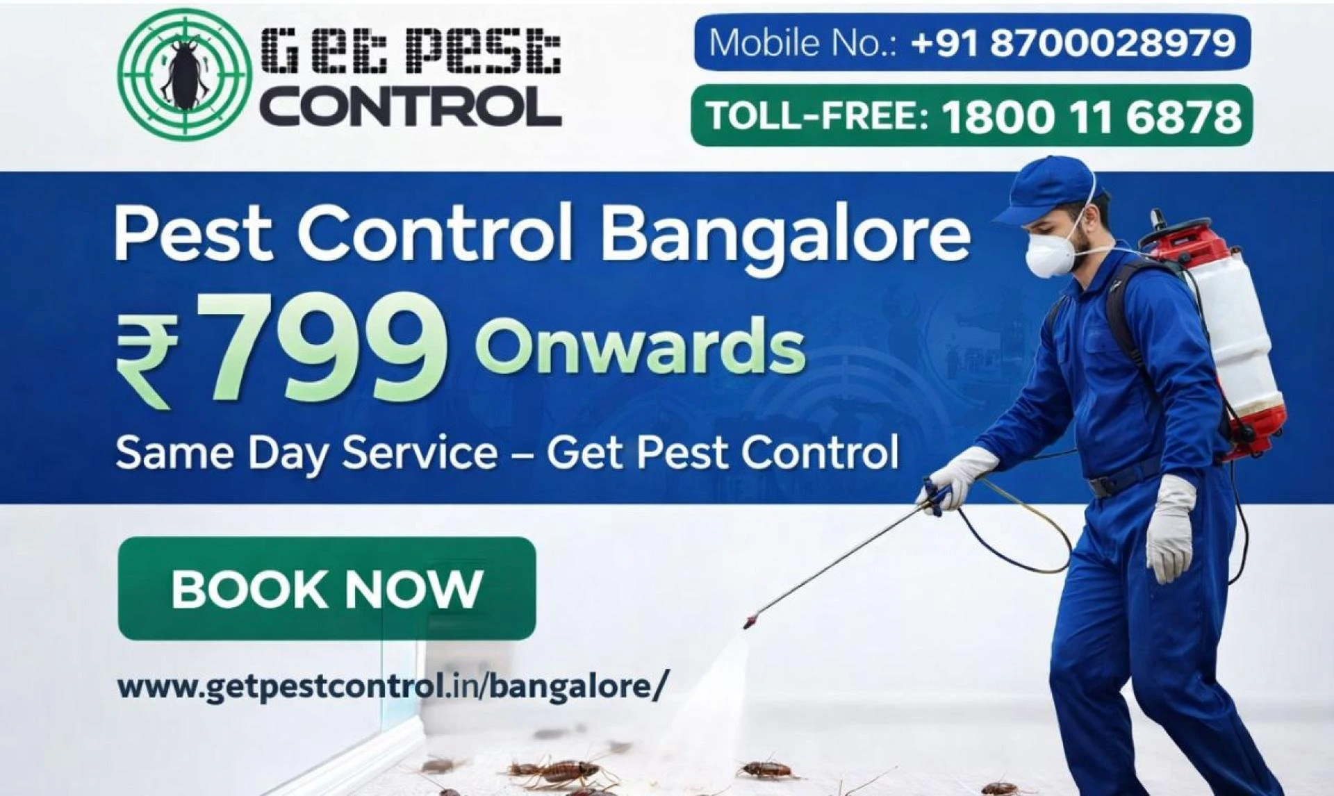 Affordable Pest Control in Bangalore (2026) – Cost, Price List & Expert Services