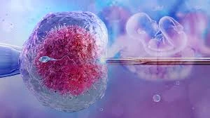 IVF and Genetic Testing: A Complete Guide to PGT-A, PGT-M and PGT-SR