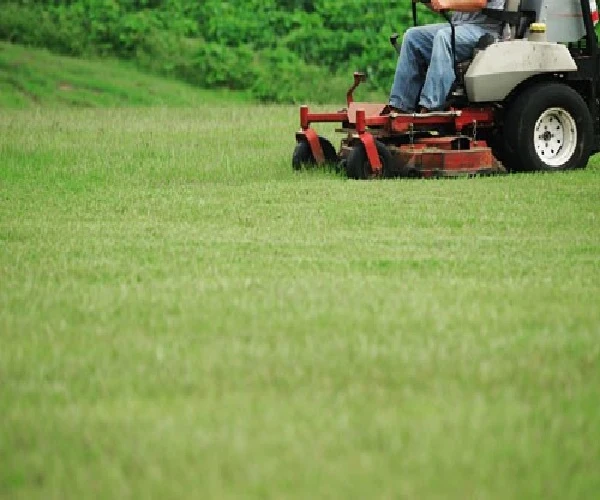 Reliable Property Care Solutions for Modern Abu Dhabi Living