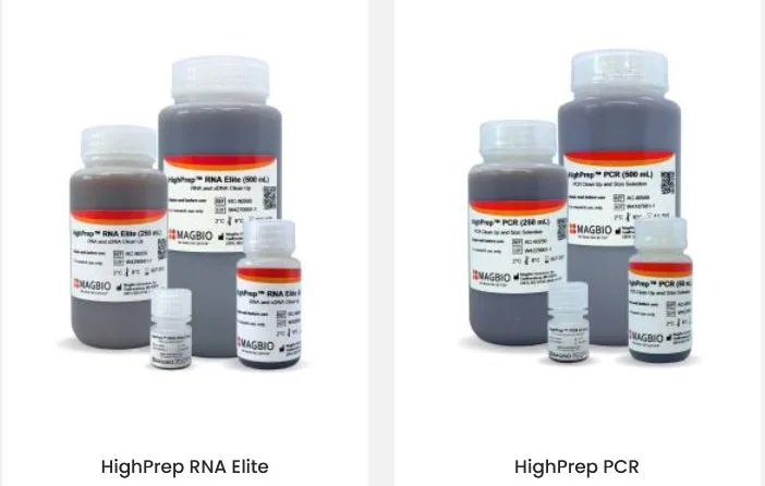 7 NGS Library Cleanup Mistakes That Quietly Cost You Yield