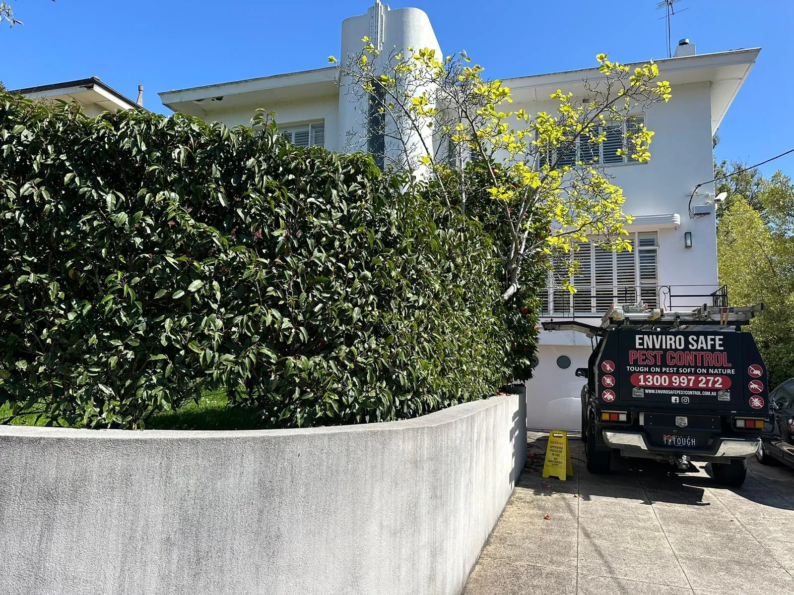 Why Smart Pest Management Is Better Than Waiting for an Infestation