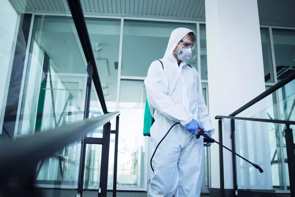 The Best Practices for Attic Cleaning and Sanitizing