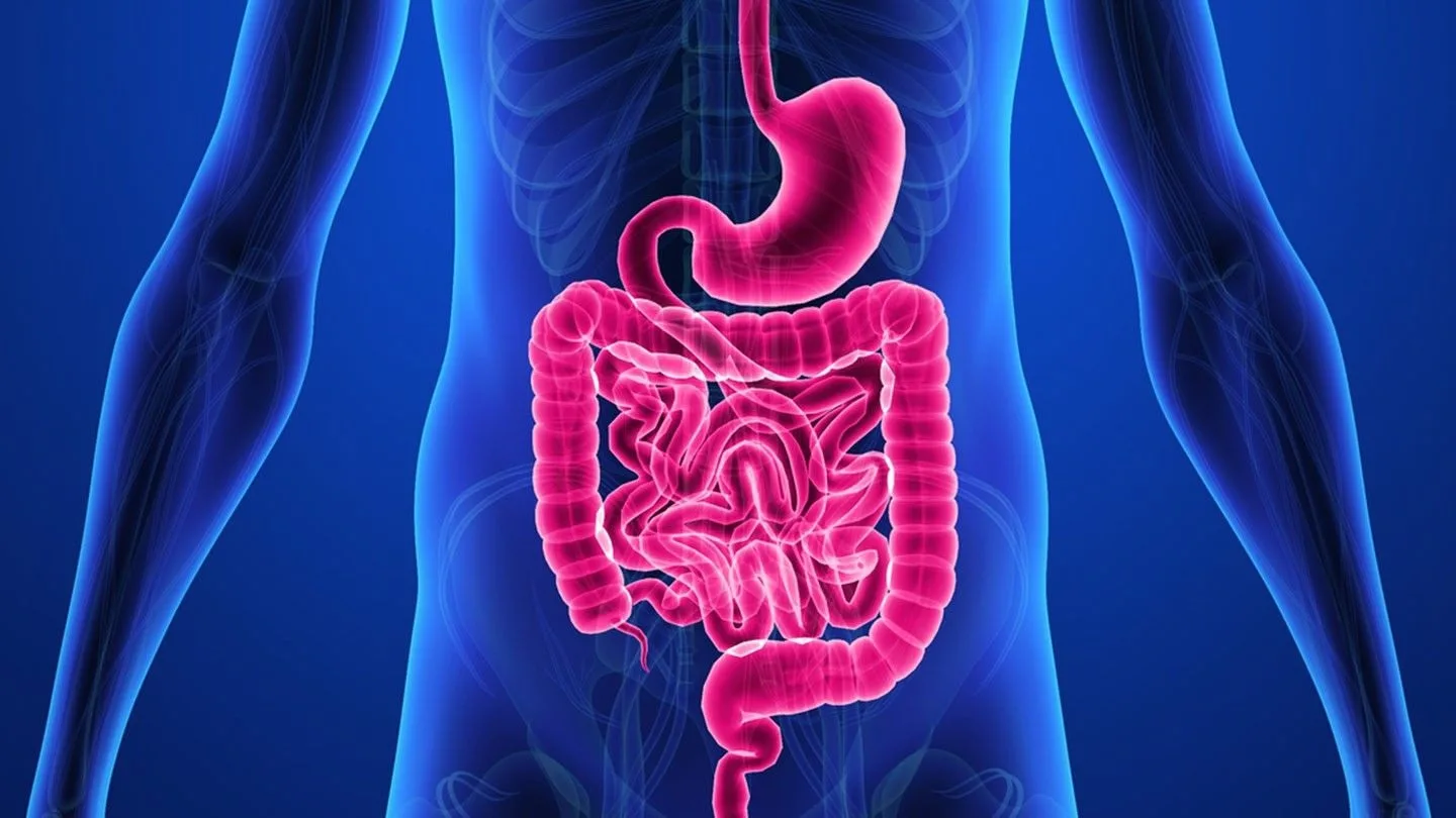 Your Participation Could Help Shape the Future of Crohn’s Disease Treatment