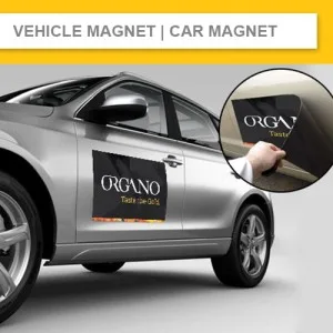 Boost Brand Visibility With Flag Printing and Banners Today!