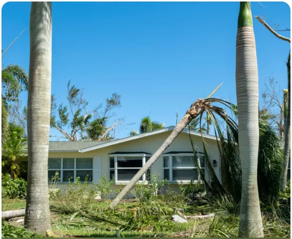 Next Steps After a Low Offer on a Property Claim in Tampa